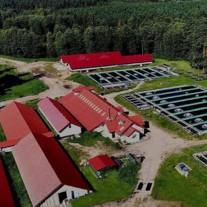 Dabie Hatchery